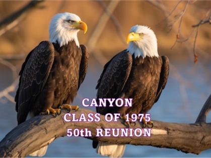  Eagle041.jpg